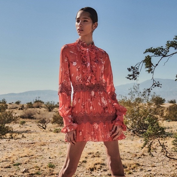 Alexis Blouse - Picture 9 of 9